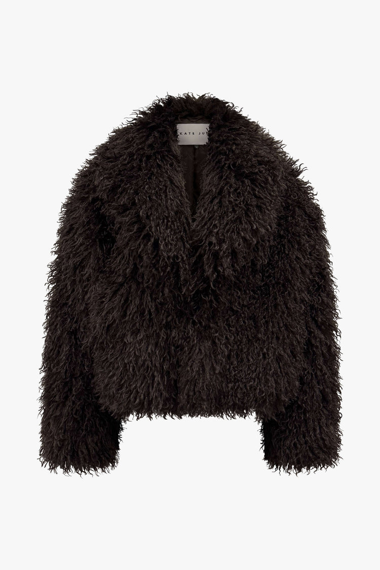 THE HAIRY FUR COAT