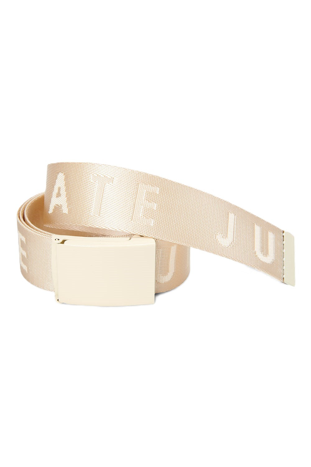 THE LOGO BELT